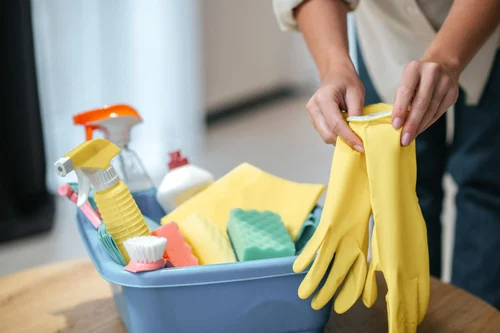 Pureshine Home cleaning ServicesTeam